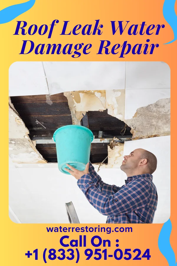 Roof Leak Water Damage Repair in Shaw Heights, CO